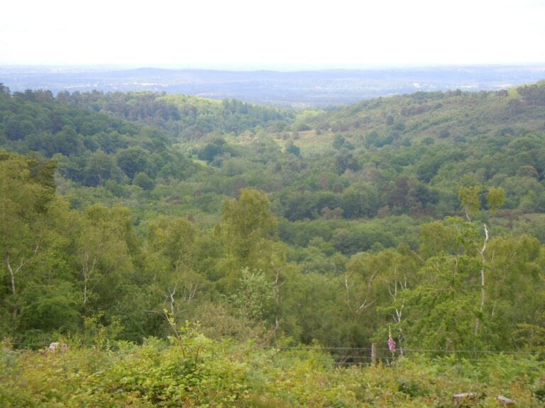 The Devil's Punch Bowl near Hindhead, on the Hampshire and Surrey border
